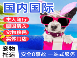 黑河航空邮寄国际宠物托运 【国